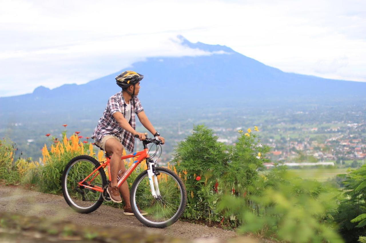Abhayagiri - Sumberwatu Heritage Resor 4*
