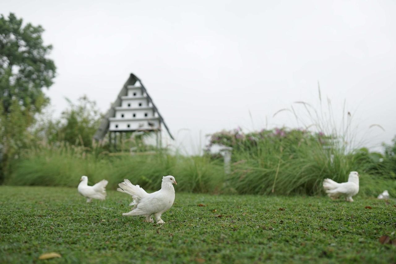 Abhayagiri - Sumberwatu Heritage 4*