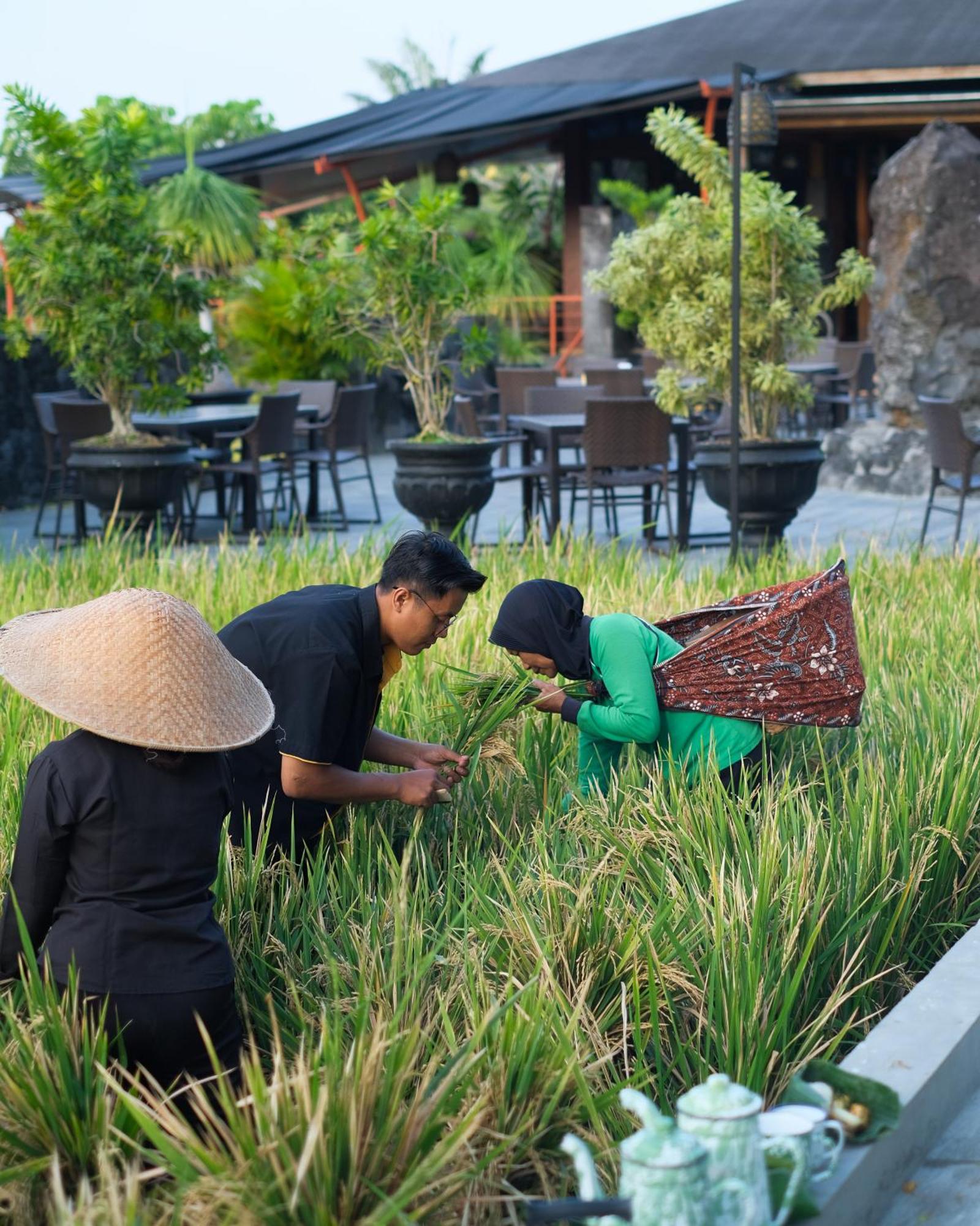 Abhayagiri - Sumberwatu Heritage 4* Randugunting